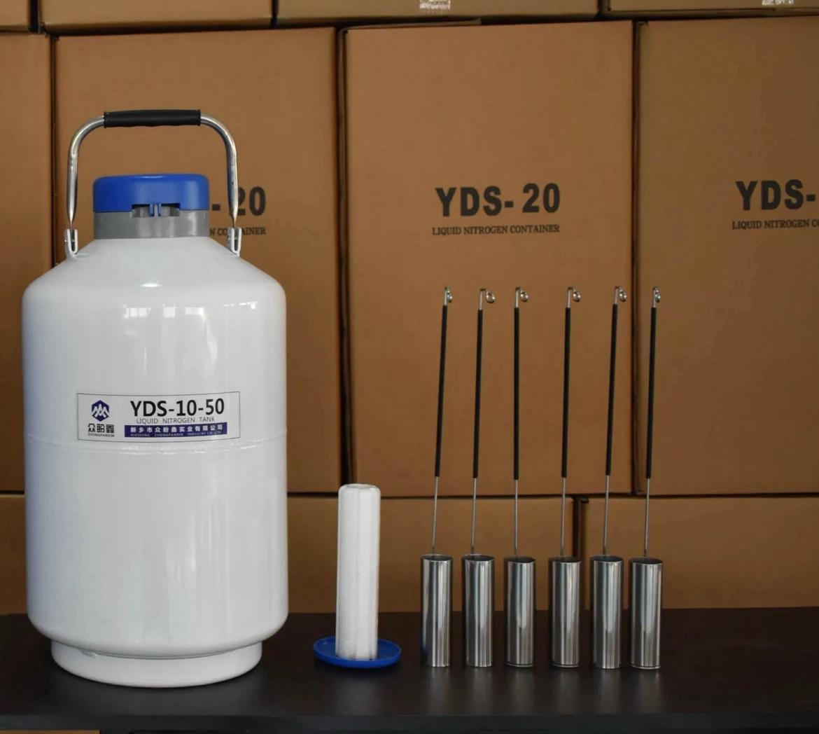 WhatsApp Image 2024-11-25 at 13.46.52_b6da88b4